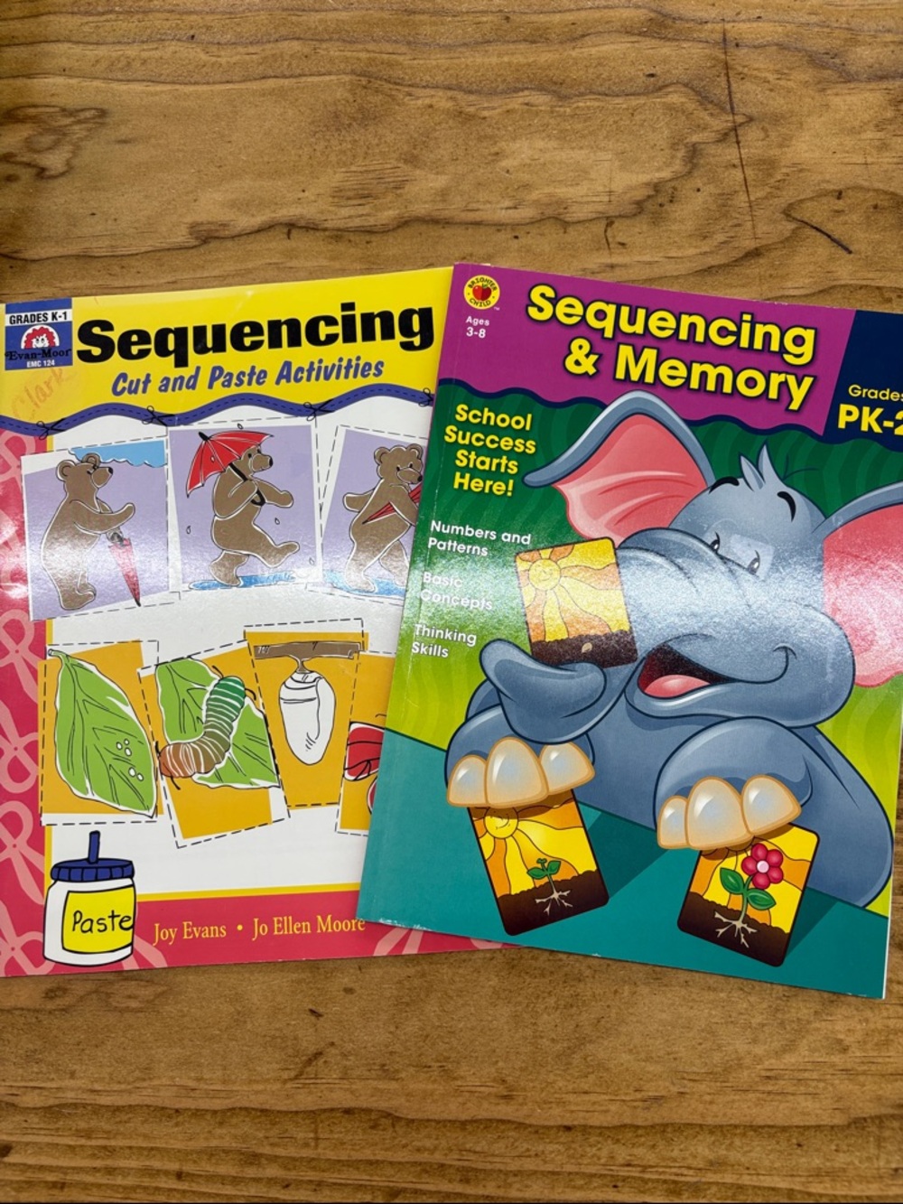 Sequencing & Memory Educational Activity Books